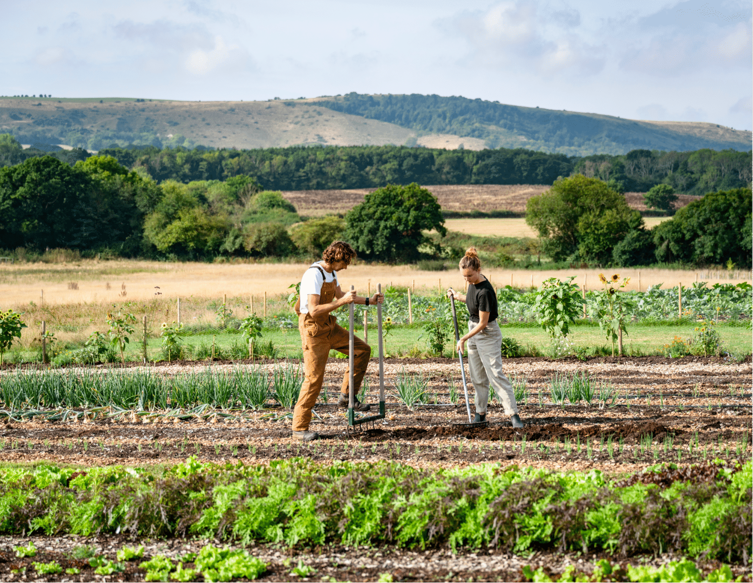 Innoparc agricole (5)