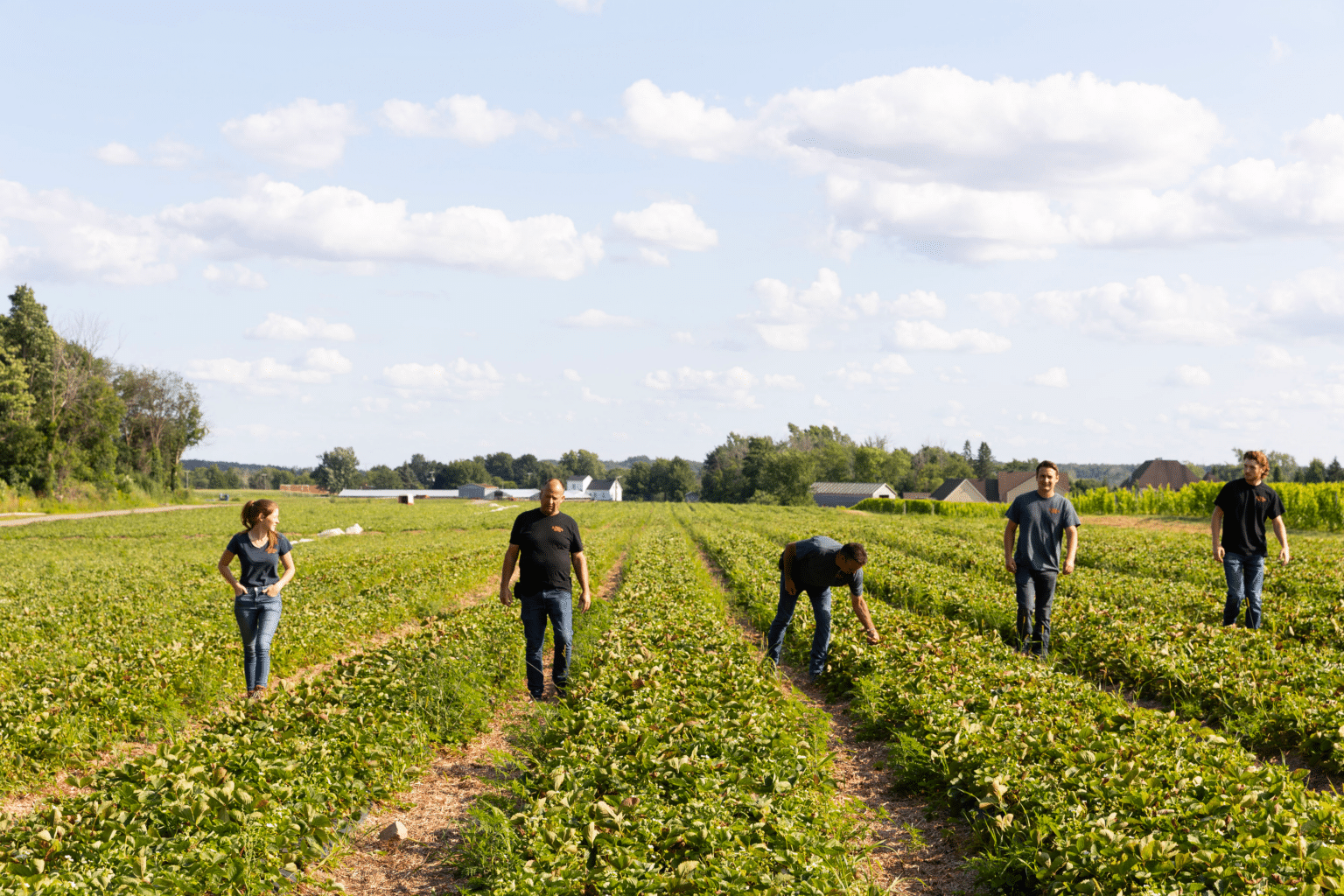 Innoparc agricole41